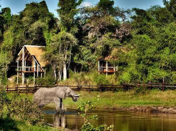 Camp Savuti Hotel Bagian luar foto