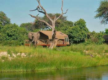 Camp Savuti Hotel Bagian luar foto